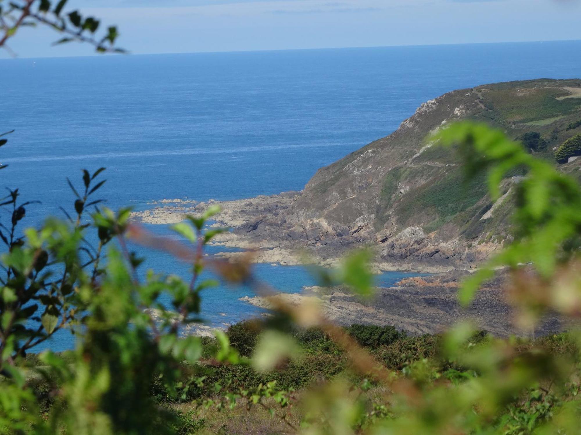 Gite "Rose Des Sables" - 800M De La Plage De Surtainville, Proche Commerces - Piscine En Juillet Et Aout Eksteriør bilde
