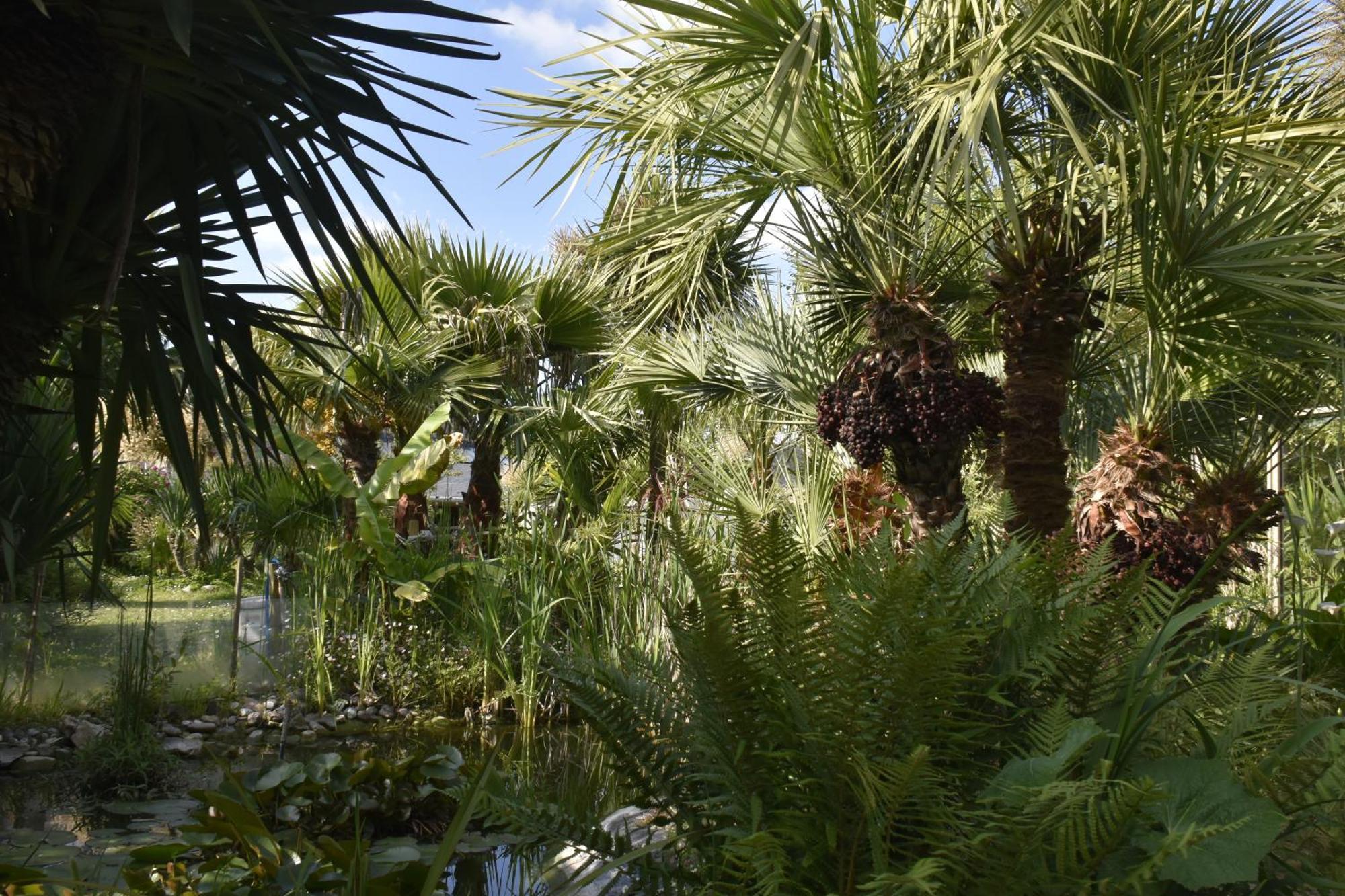 Gite "Rose Des Sables" - 800M De La Plage De Surtainville, Proche Commerces - Piscine En Juillet Et Aout Eksteriør bilde